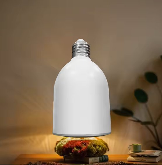 Kitchen Accessories
