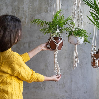 Reach Plant Pulley
